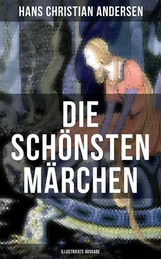 Hans Christian Die schönsten Märchen von Hans Christian Andersen (Illustrierte Ausgabe) обложка книги