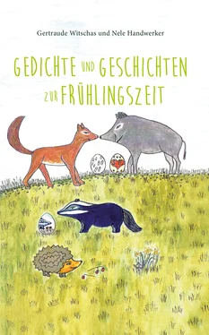 Nele Handwerker Gedichte und Geschichten zur Frühlingszeit обложка книги