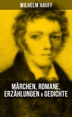 Wilhelm Hauff Wilhelm Hauff: Märchen, Romane, Erzählungen & Gedichte обложка книги