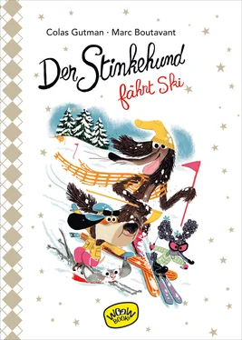 Colas Gutman Der Stinkehund fährt Ski обложка книги