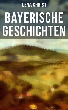 Lena Christ Bayerische Geschichten обложка книги