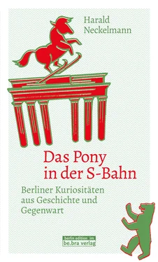 Harald Neckelmann Das Pony in der S-Bahn обложка книги