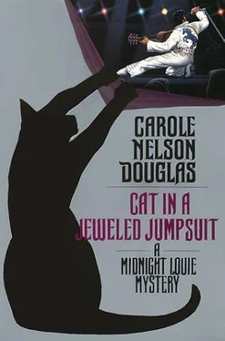 Carole Douglas Cat in a Jeweled Jumpsuit обложка книги