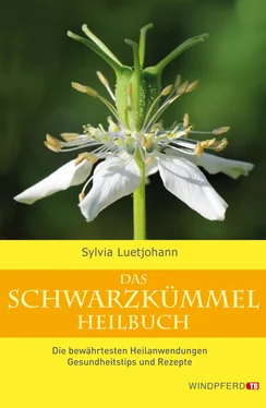 Sylvia Luetjohann Das Schwarzkümmel-Heilbuch обложка книги
