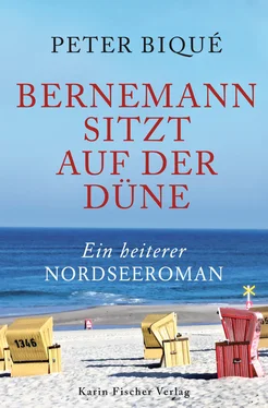 Peter Biqué Bernemann sitzt auf der Düne обложка книги