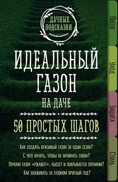 Мария Колпакова Идеальный газон на даче. 50 простых шагов обложка книги