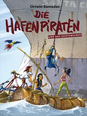 Ortwin Ramadan Die Hafenpiraten und das Geisterschiff (Bd. 3) обложка книги