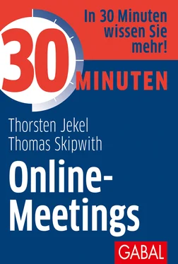 Thorsten Jekel 30 Minuten Online-Meetings обложка книги