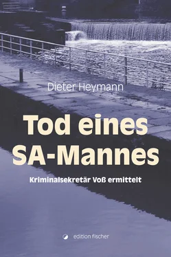 Dieter Heymann Tod eines SA-Mannes обложка книги