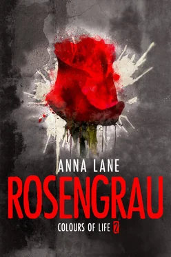 Anna Lane Colours of Life 2: Rosengrau обложка книги