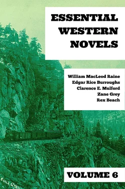 Zane Grey Essential Western Novels - Volume 6 обложка книги