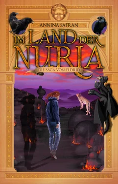 Annina Safran Im Land der Nuria обложка книги