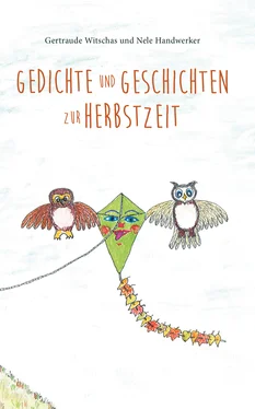 Nele Handwerker Gedichte und Geschichten zur Herbstzeit обложка книги