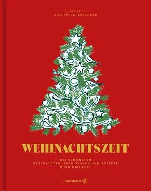 Elisabeth Auersperg-Breunner Weihnachtszeit обложка книги