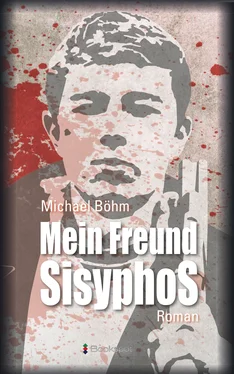 Michael Bohm Mein Freund Sisyphos обложка книги
