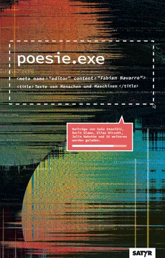 Sasa Stanisic poesie.exe обложка книги