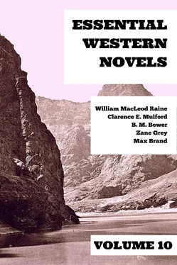 Zane Grey Essential Western Novels - Volume 10 обложка книги