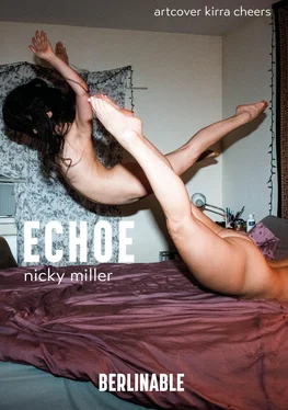 Nicky Miller Echoe обложка книги