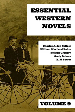 William MacLeod Raine Essential Western Novels - Volume 9 обложка книги