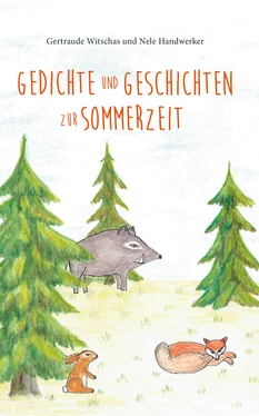 Nele Handwerker Gedichte und Geschichten zur Sommerzeit обложка книги