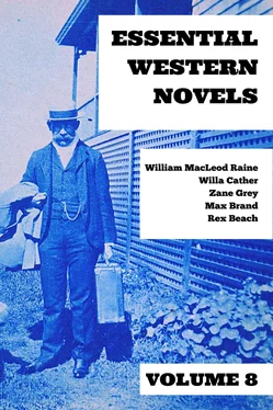 Zane Grey Essential Western Novels - Volume 8 обложка книги