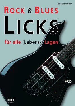Jürgen Kumlehn Rock & Blues Licks für alle (Lebens-) Lagen обложка книги