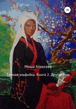 Миша Алексеев Темная эльфийка. Книга 2. Другой мир обложка книги