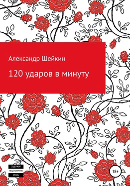 Александр Шейкин 120 ударов в минуту обложка книги