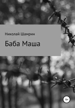 Николай Шамрин Баба Маша обложка книги