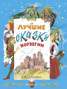 Петер Асбьёрнсен Лучшие сказки Норвегии обложка книги