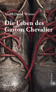 André David Winter Die Leben des Gaston Chevalier обложка книги
