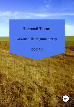 Николай Тюрин Антонов. Последний пожар обложка книги