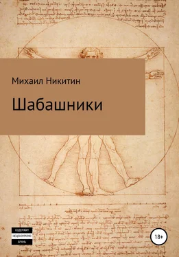 Михаил Никитин Шабашники обложка книги