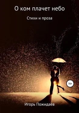 Игорь Пожидаев О ком плачет небо обложка книги