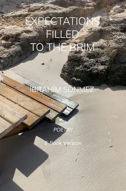 Ibrahim Sönmez Expectations Filled to The Brim обложка книги