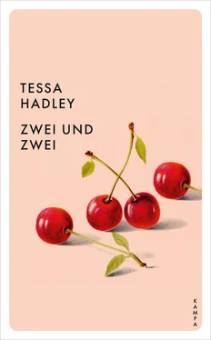 Tessa Hadley Zwei und zwei обложка книги