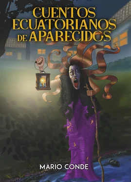 Mario Conde Cuentos ecuatorianos de aparecidos обложка книги