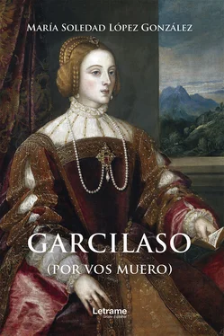 María Soledad López González Garcilaso обложка книги
