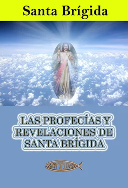 Santa Brígida Las profecías y revelaciones de santa Brígida обложка книги
