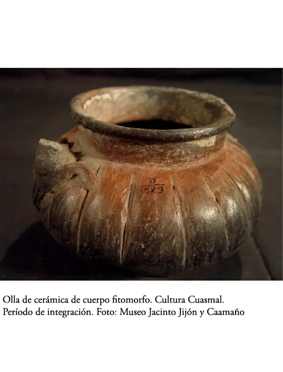 Datos para una historia de la cocina tradicional del Ecuador No existe ningún - фото 5