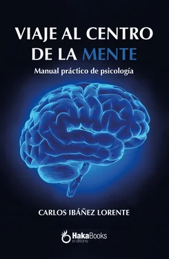 Carlos Ibáñez Lorente Viaje al centro de la mente обложка книги