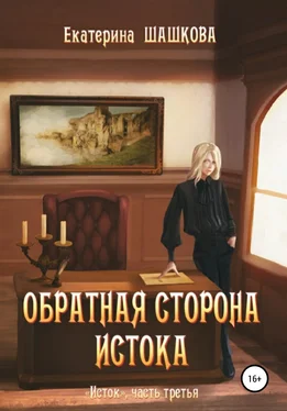 Екатерина Шашкова Обратная сторона Истока обложка книги