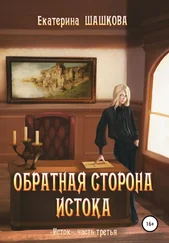 Екатерина Шашкова - Обратная сторона Истока