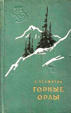 Ефим Пермитин Горные орлы обложка книги