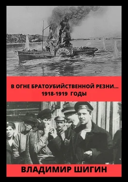 Владимир Шигин В огне братоубийственной резни… 1918-1919 годы обложка книги