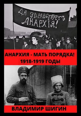 Владимир Шигин Анархия – мать порядка! 1918-1919 годы обложка книги