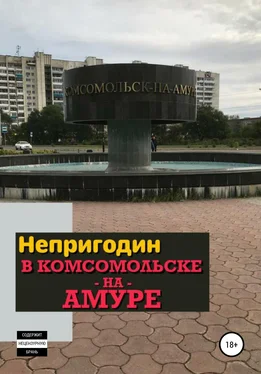 Павел Ежов Непригодин в Комсомольске-на-Амуре обложка книги