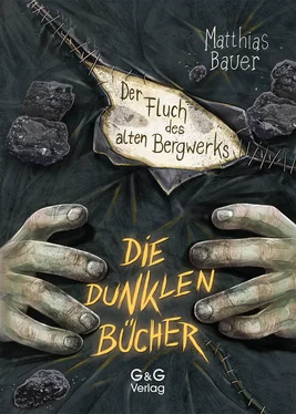 Matthias Bauer Die dunklen Bücher - Der Fluch des alten Bergwerks обложка книги