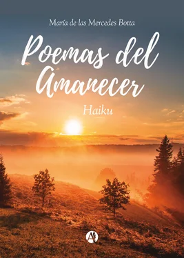 María de las Mercedes Botta Poemas del Amanecer обложка книги