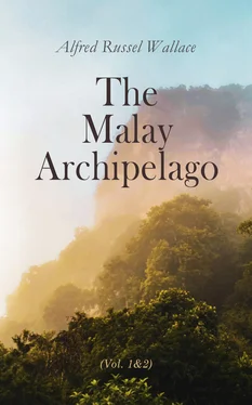 Alfred Wallace The Malay Archipelago (Vol. 1&2) обложка книги